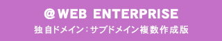 @WEBエンタープライズ：独自ドメイン　サブドメイン　複数作成版