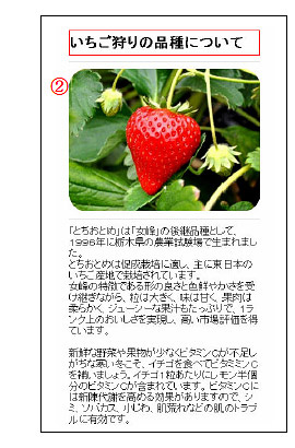 スマートフォンで表示した角丸写真 スマートフォンで表示した角丸写真