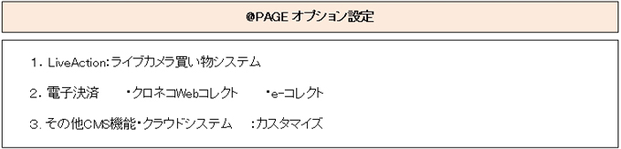 @PAGEによるホームページ作成によるオプション及びカスタマイズについて @PAGEによるホームページ作成によるオプション及びカスタマイズについて